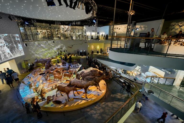 Naturama en interaktiv ferieoplevelse for hele familien